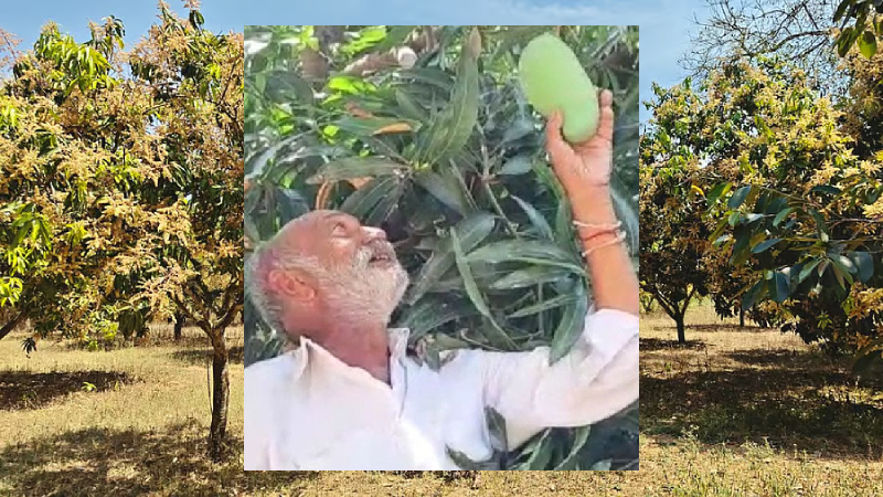 ಮಾವಿನ ತೋಟ ಹಾಗೂ ಒಳಚಿತ್ರದಲ್ಲಿ ಉಕಭಾಯ್‌ ಭಟ್ಟಿ 