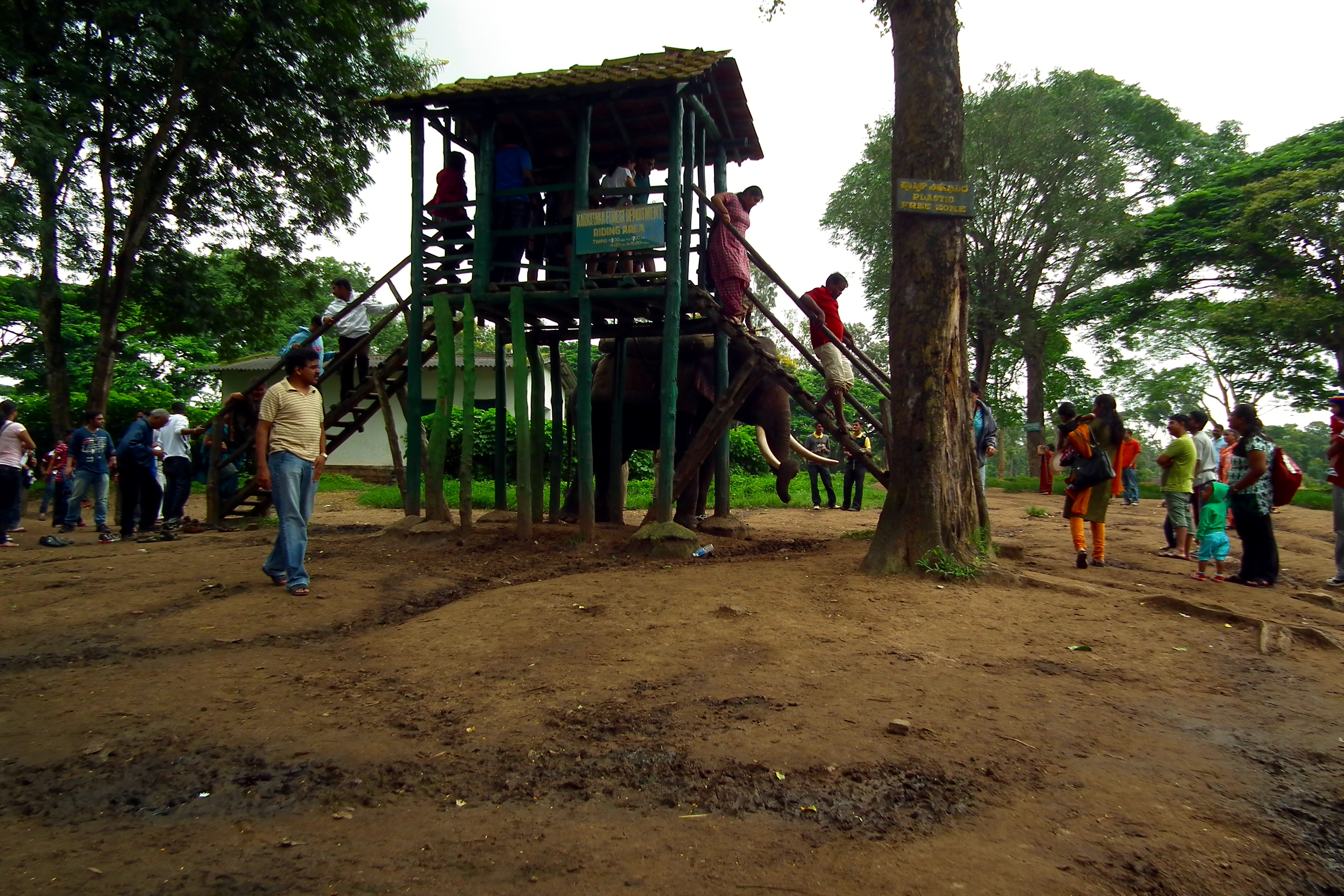 ದುಬಾರೆ ಆನೆ ಶಿಬಿರ( ಸಂಗ್ರಹ ಚಿತ್ರ)