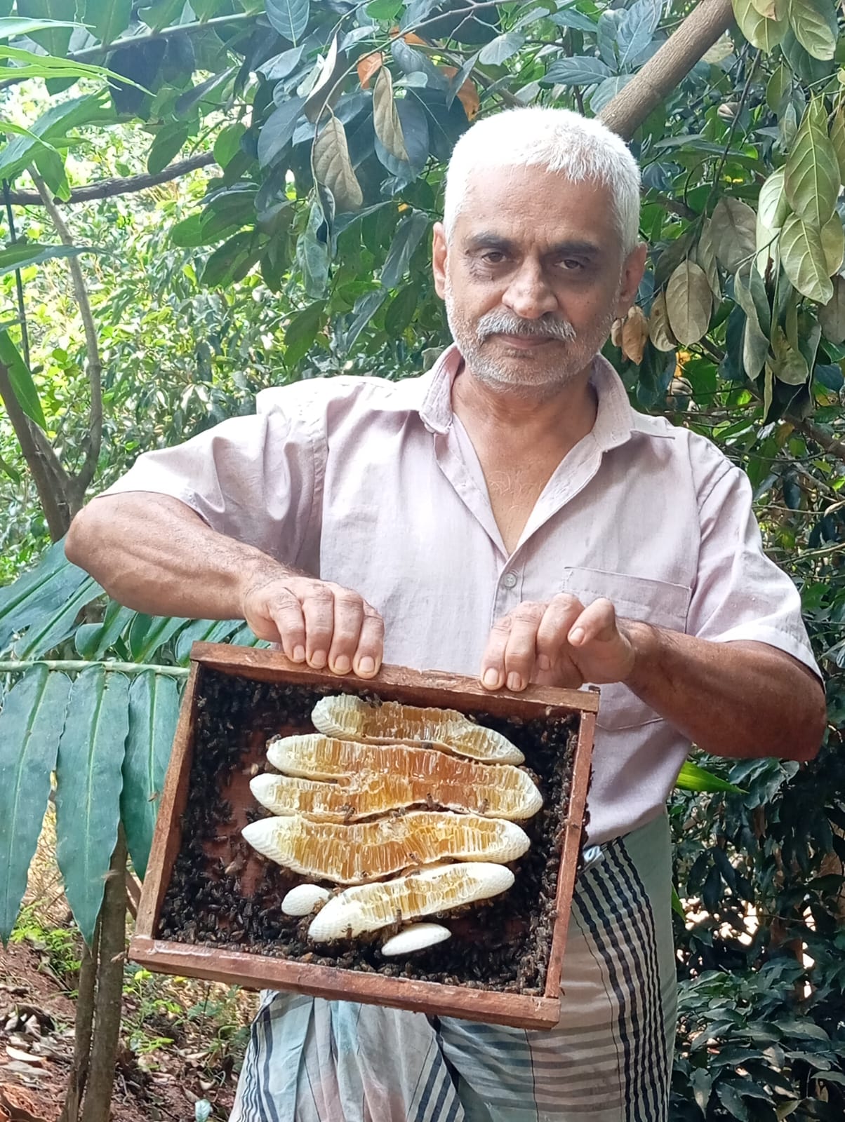 ರಾಜೇಂದ್ರ ಹಿಂಡೂಮನೆ