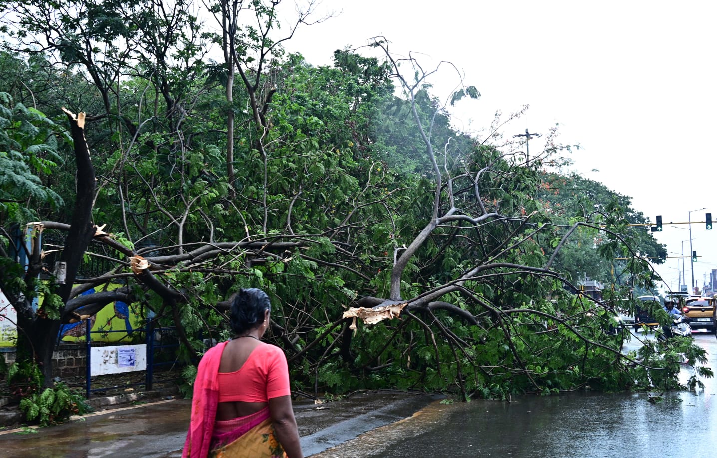 ಮಳೆಗೆ ನೆಲಕ್ಕುರುಳಿದ ಮರ