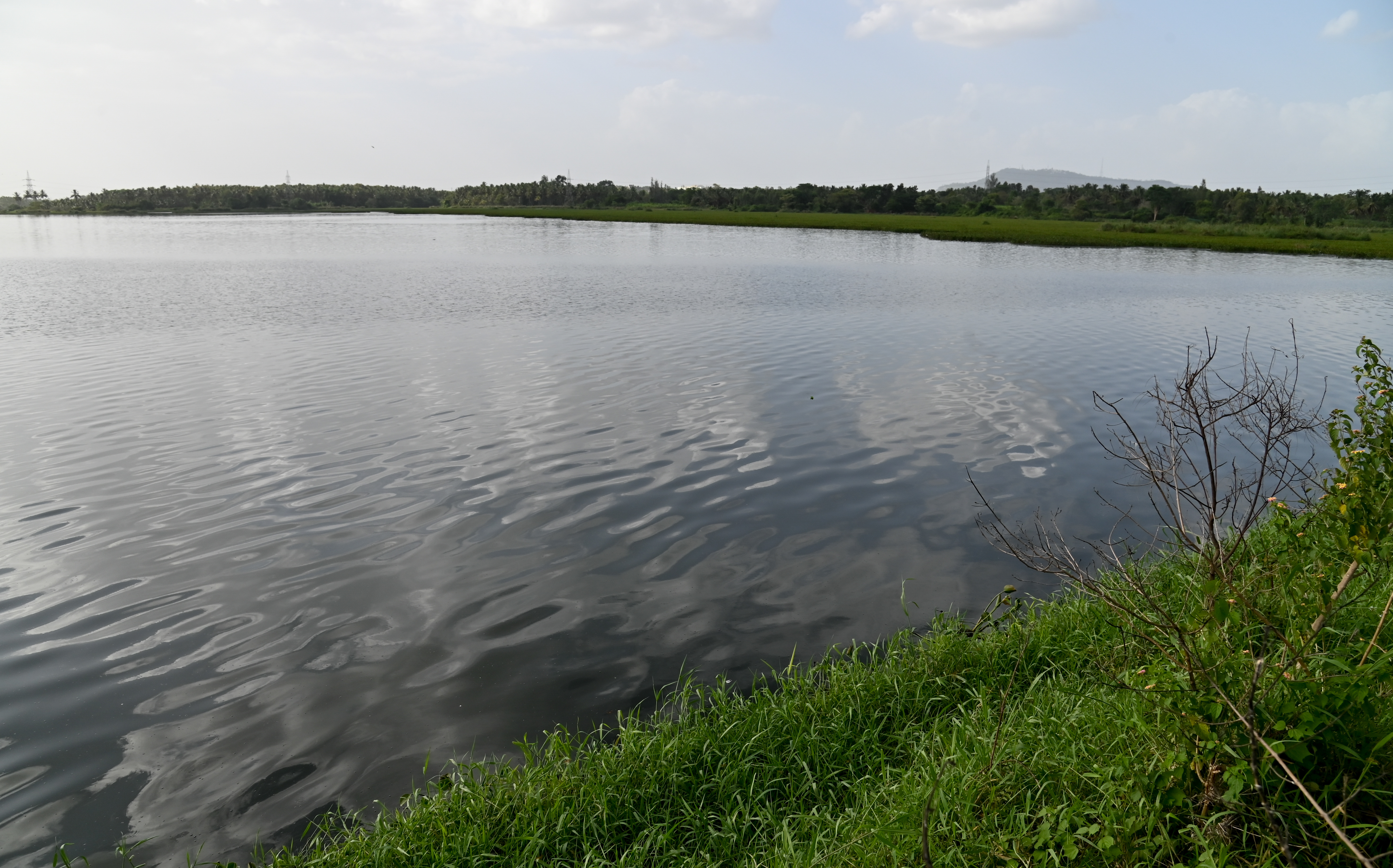 ಮೈಸೂರು ತಾಲ್ಲೂಕಿನ ದಡದಹಳ್ಳಿಯ