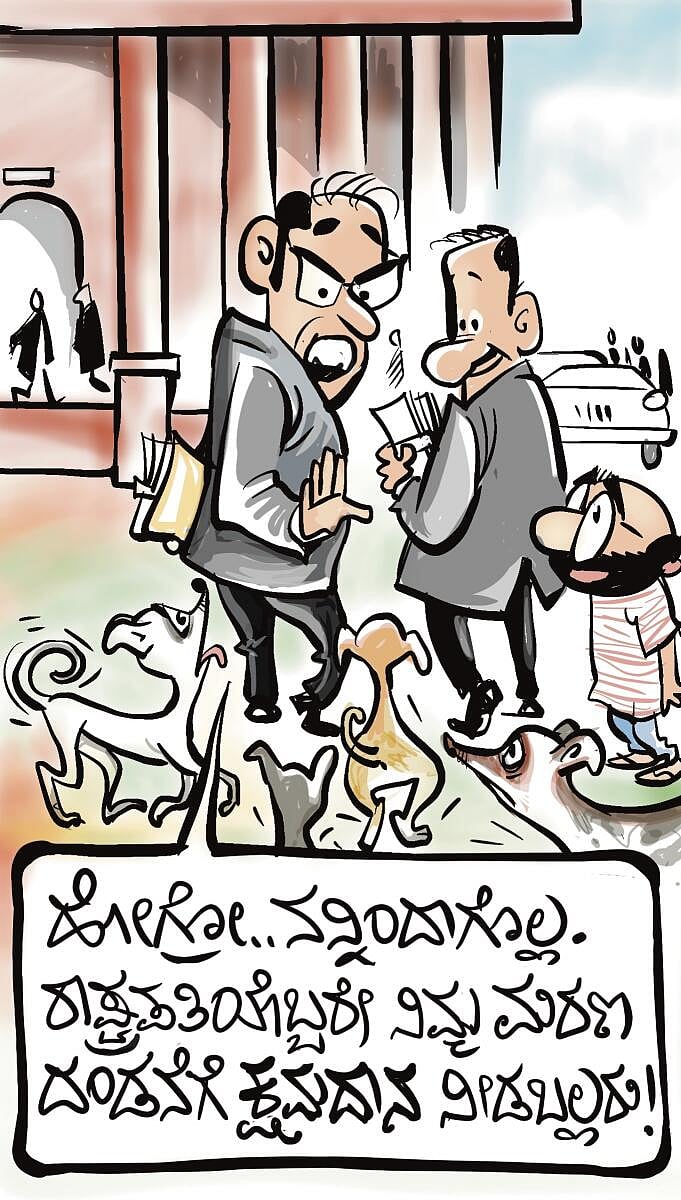 ಚಿನಕುರುಳಿ: ಶನಿವಾರ, 23 ಮೇ 2026
