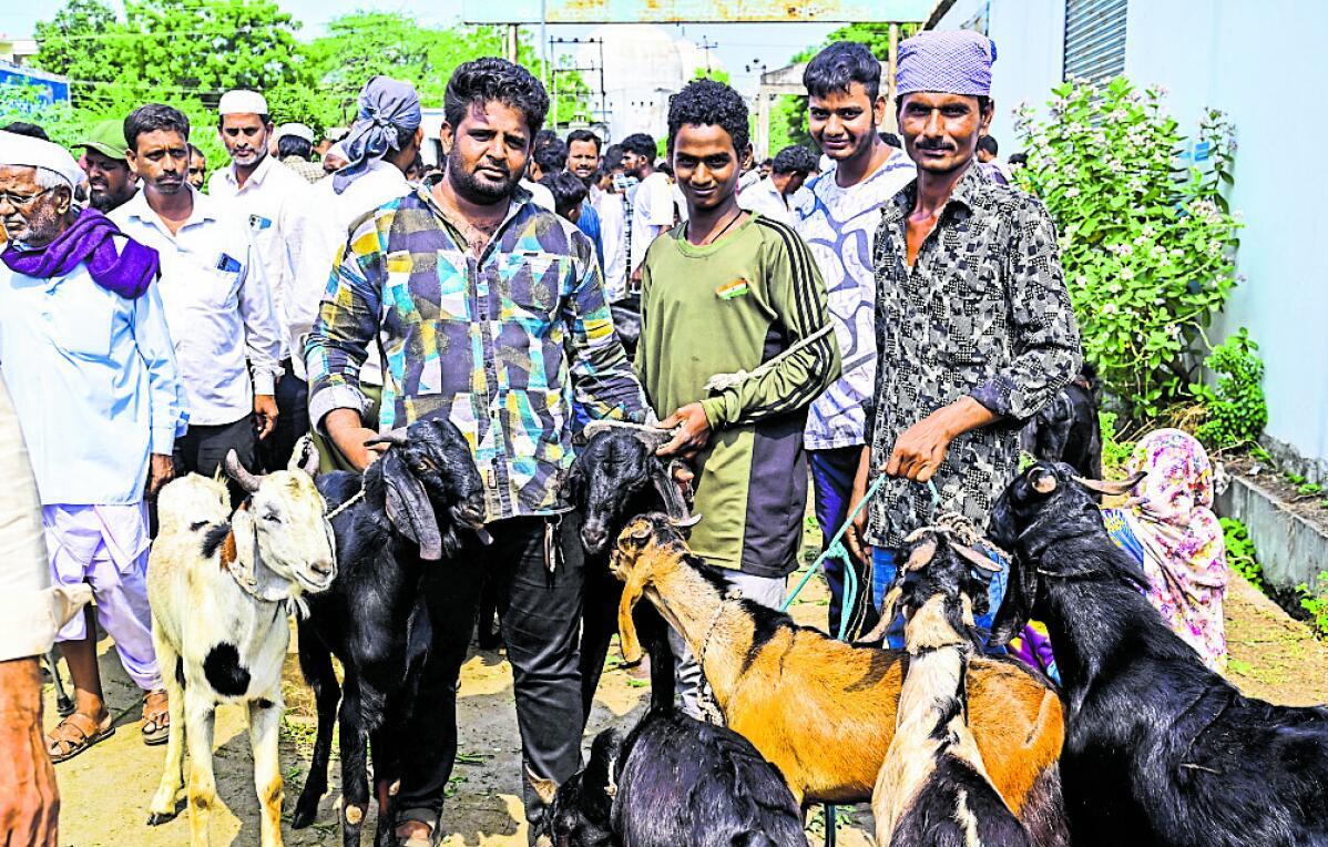 ಬಕ್ರೀದ್ ಅಂಗವಾಗಿ ಕಲಬುರಗಿಯ ನೆಹರೂ ಗಂಜ್‌ನ ಮಾರುಕಟ್ಟೆಯಲ್ಲಿ ಶನಿವಾರ ಕುರಿಗಳ ಖರೀದಿಯಲ್ಲಿ ತೊಡಗಿದ್ದ ಗ್ರಾಹಕರು