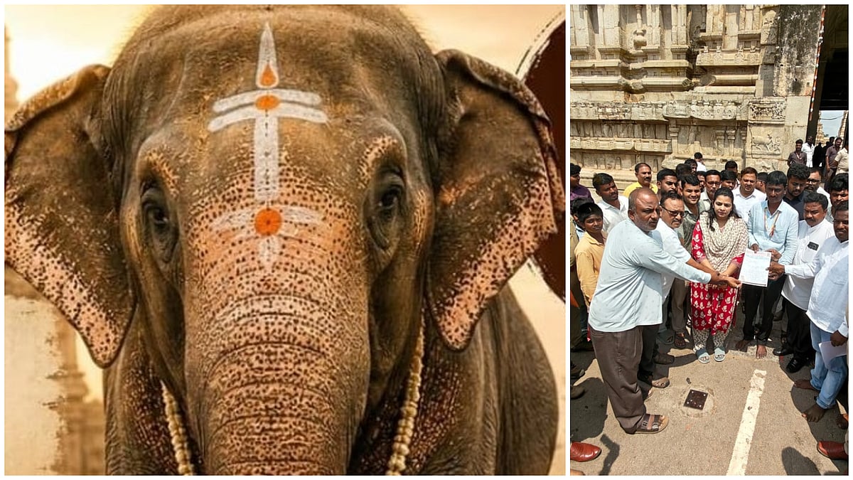 ಹಂಪಿ ವಿರೂಪಾಕ್ಷೇಶ್ವರ ದೇವಸ್ಥಾನ ಅನೆ ಲಕ್ಷ್ಮಿ ಕೋಲಾರಕ್ಕೆ: ಸ್ಥಳೀಯರ ಪ್ರತಿಭಟನೆ!