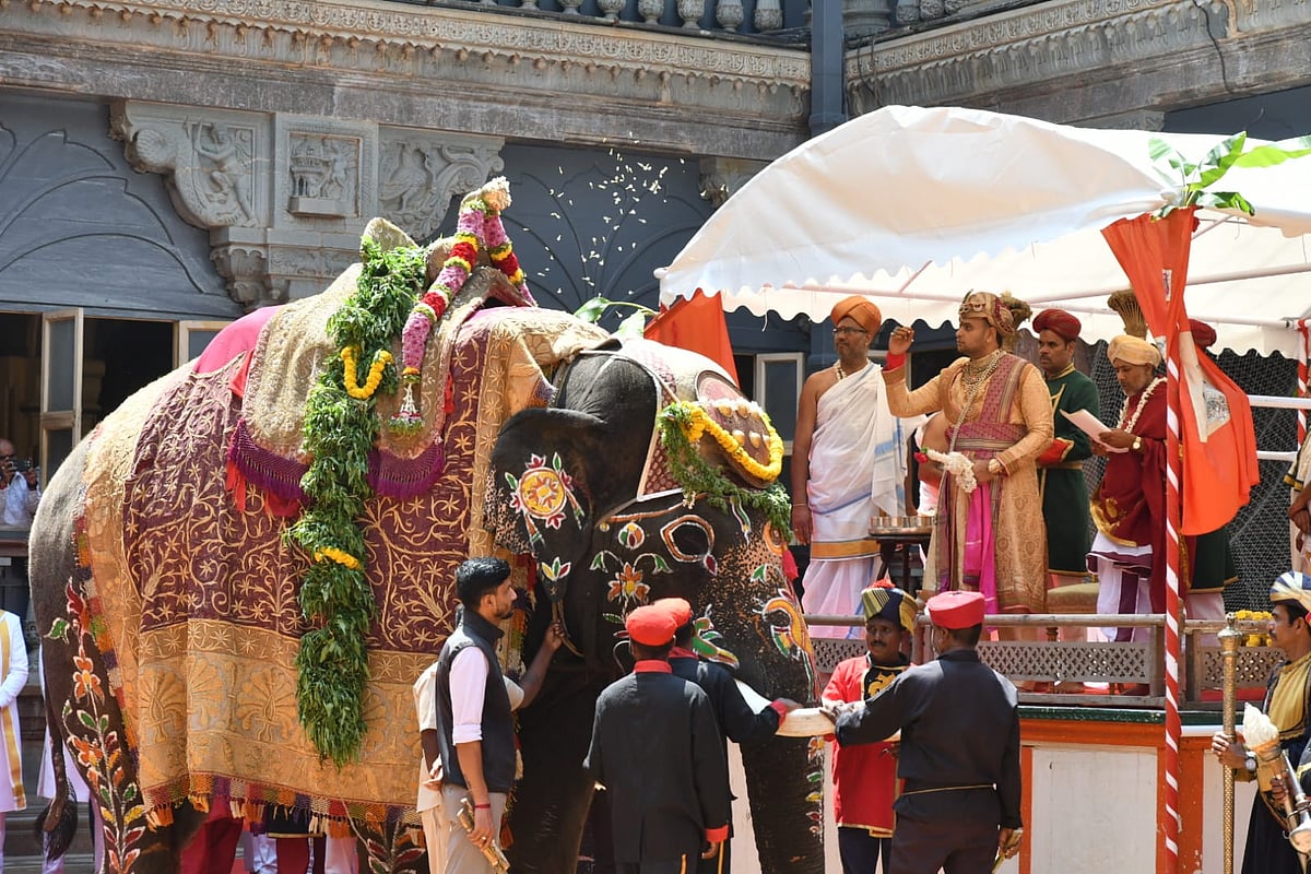 ಮೈಸೂರು: ಕಲಾವಿದರ ಕುಂಚಕ್ಕೆ ಮೈಯೊಡ್ಡಿದ ಗಜಪಡೆ