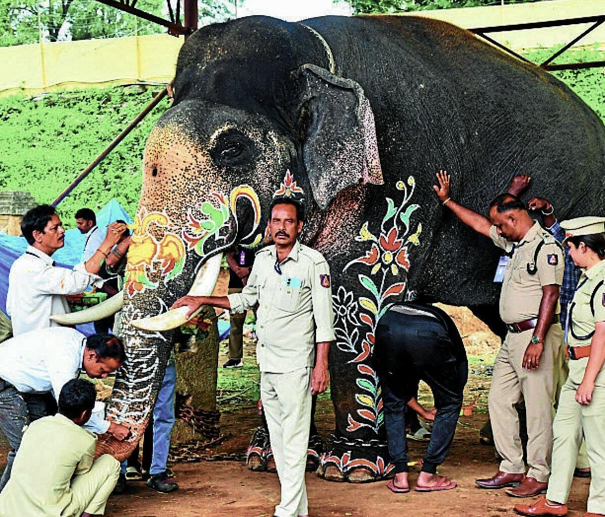 ಗಾಂಭೀರ್ಯದಿಂದ ಕಂಗೊಳಿಸಿದ ಅಂಬಾರಿ ಆನೆ ‘ಪ್ರಶಾಂತ’