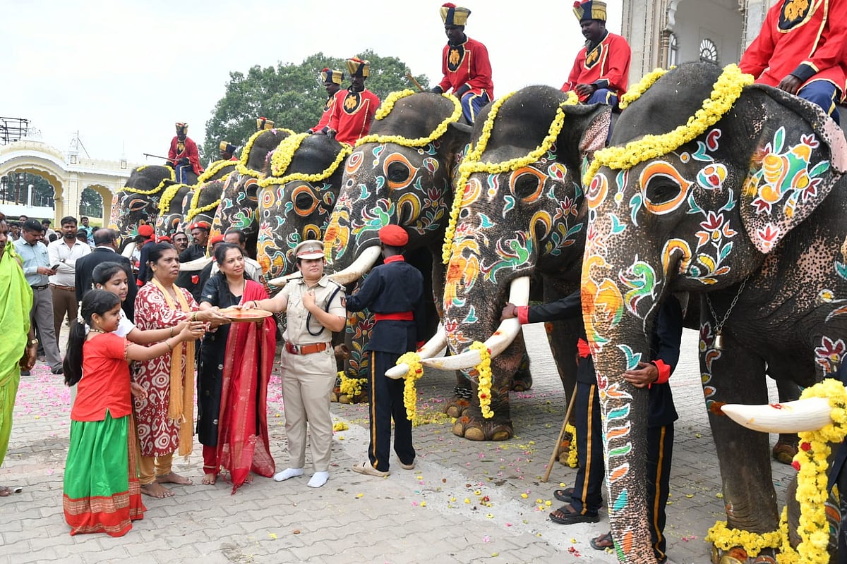 PHOTOS: ಜಂಬೂಸವಾರಿಯಲ್ಲಿ ಭಾಗಿಯಾಗಿದ್ದ ಗಜಪಡೆಗೆ ಪ್ರೀತಿಯ ಬೀಳ್ಕೊಡುಗೆ