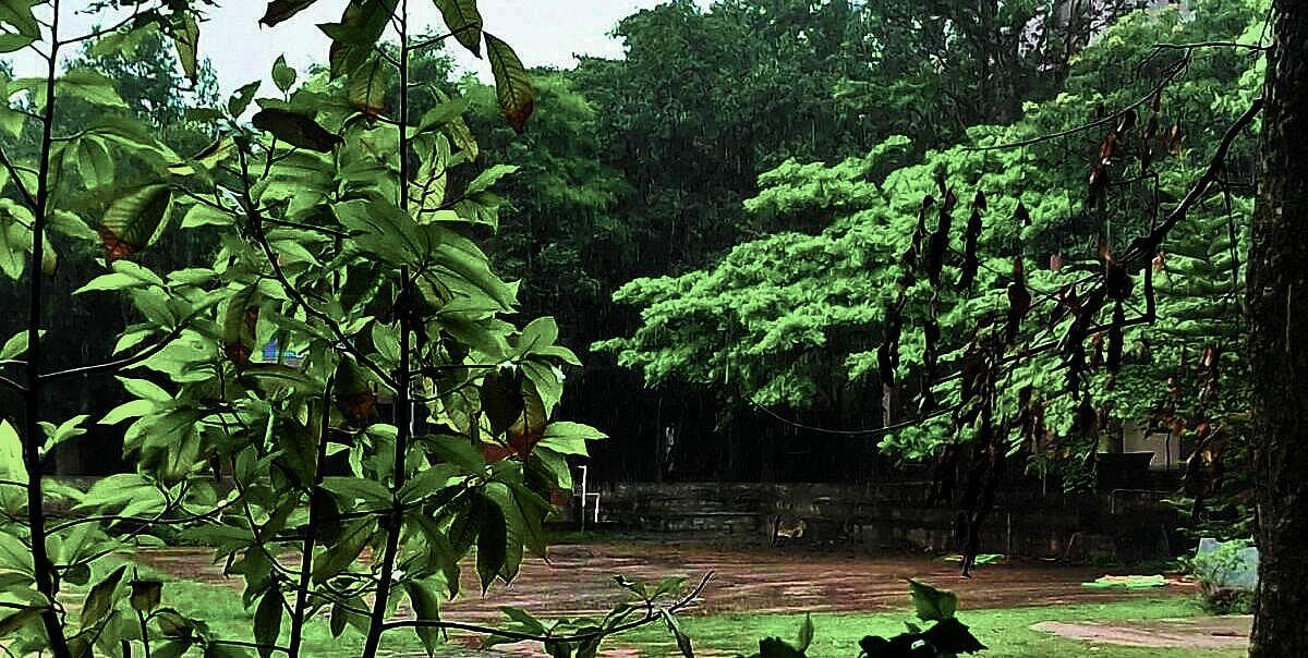 ಮುಳಬಾಗಿಲು ತಾಲ್ಲೂಕಿನಲ್ಲಿ ಜಡಿ ಮಳೆಯಿಂದ ವಾತಾವರಣ ತಂಪು