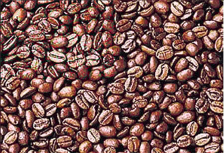 ದೇಶದ ಕಾಫಿ ರಫ್ತು ಶೇ 4.47ರಷ್ಟು ಇಳಿಕೆ