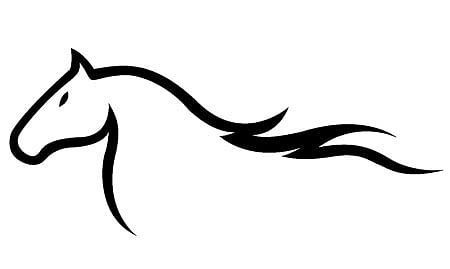 ಬೆಂಗಳೂರು|ಕುದುರೆಗೆ ‘ಗ್ಲಾಂಡರ್ಸ್’ ದೃಢ: ಡಿಜೆ ಹಳ್ಳಿ ‘ರೋಗಪೀಡಿತ ವಲಯ’ ಘೋಷಣೆ 