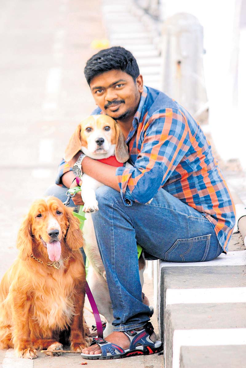 ಫ್ರೇಮಿನಾಚೆಗಿನ ಪ್ರಾಣಿ ಪ್ರೀತಿ