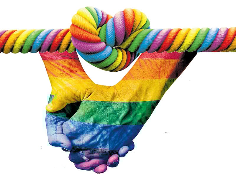 ಚರ್ಚೆ | ಸಲಿಂಗ ವಿವಾಹ: ನಿಸರ್ಗಕ್ಕೆ ವಿರುದ್ಧ ಹೋಗಲು ನ್ಯಾಯಾಲಯವೂ ಒಪ್ಪುವುದಿಲ್ಲ