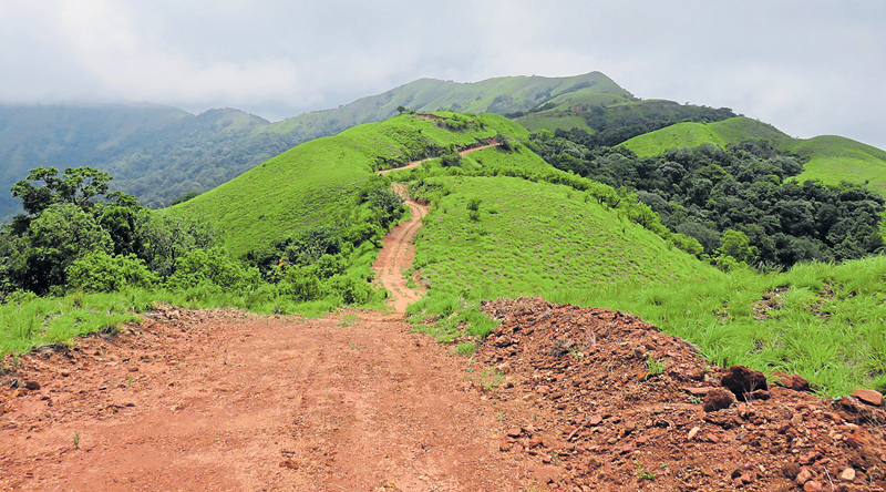 ಇರುವ ಮಾರ್ಗಗಳ ಬಿಟ್ಟು ಹೊಸದರತ್ತ ಚಿತ್ತ!