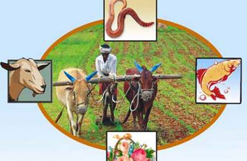 ಭಾರತೀಯ ತೋಟಗಾರಿಕೆ ವಿಜ್ಞಾನ ಕಾಂಗ್ರೆಸ್‌ ಇಂದಿನಿಂದ