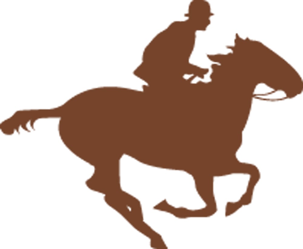 ಬಿಟಿಸಿ | ಸಾವರಿನ್‌ ಕಿಂಗ್‌, ಫಿನ್‌ಬಾಸ್‌ ನಡುವೆ ಪೈಪೋಟಿ