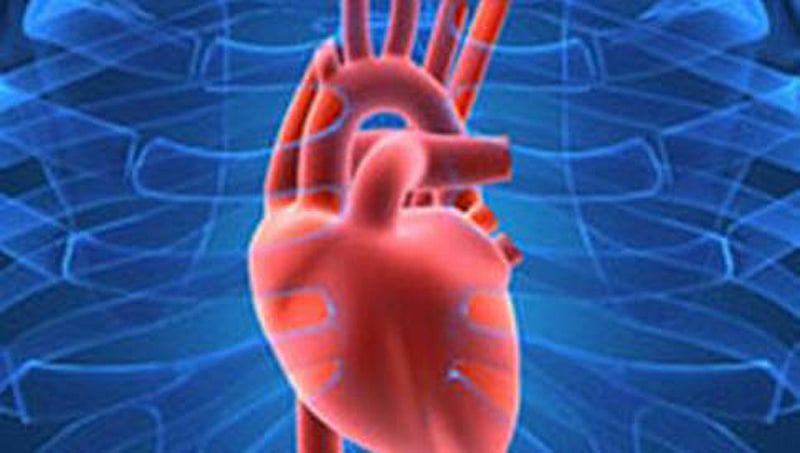 ಜೀವಸಾರ್ಥಕತೆ ಯೋಜನೆಯಡಿ ಅಂಗಾಂಗ ಕಸಿ: ತಜ್ಞರ ಸಮಿತಿ ಪುನರ್ ರಚನೆ