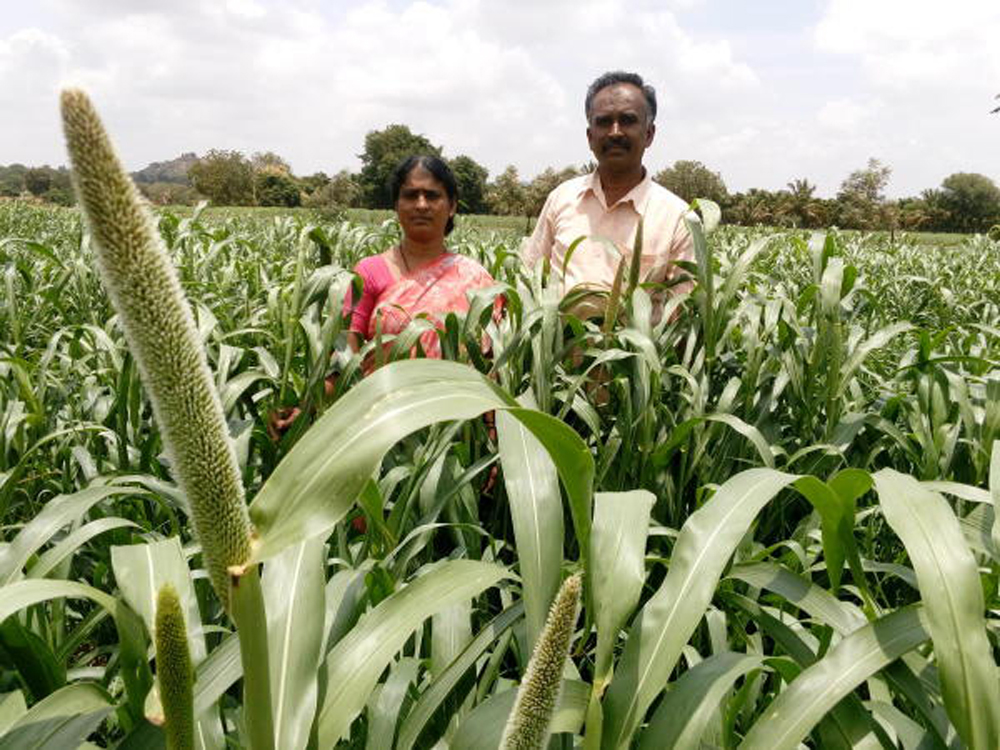 ಬಲ ತಂದ ಮೌಲ್ಯವರ್ಧನೆ