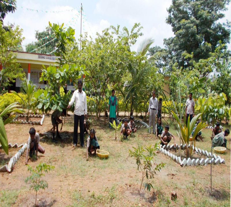 ಹಸಿರಿನ ಮಡಿಲಲ್ಲಿ ಅರಳಿದ ಸರ್ಕಾರಿ ಶಾಲೆ
