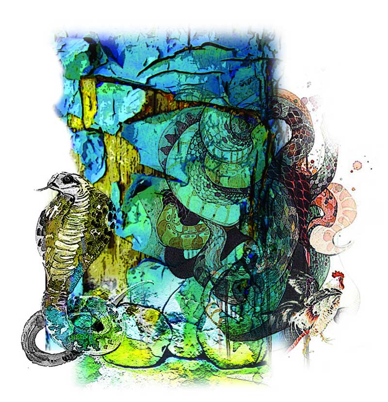 ಹಾವಿನ ಹೆಜ್ಜೆ