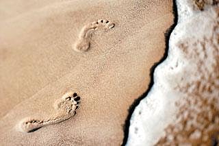 ಕವಿತೆ: ಪಕ್ಕದ ಮನೆಯವರು