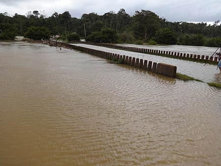 ಸಟ್ಲೆಜ್‌ ನದಿ ಪ್ರವಾಹ: ಪಾಕ್‌ಗೆ ಕೊಚ್ಚಿಹೋದ ಭಾರತೀಯ