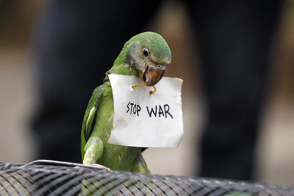 ಯುದ್ಧ ನಿಲ್ಲಿಸಿ, ಜನರ ಜೀವ ಉಳಿಸಿ: ವಿಶ್ವಸಂಸ್ಥೆಯಲ್ಲಿ ಪ್ಯಾಲೆಸ್ಟೀನ್ ಮನವಿ