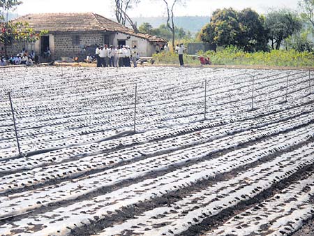 ಬರದಲ್ಲೂ ಮೆಚ್ಚುಗೆ ಪಾಲಿಥಿನ್ ಮುಚ್ಚುಗೆ