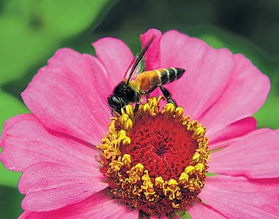 ಕವಿತೆ: ಕಳೆದುದು ಸಿಕ್ಕಿತು