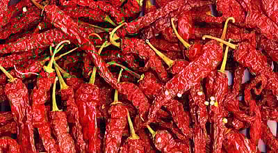 ಬ್ಯಾಡಗಿ ಮೆಣಸಿನಕಾಯಿ ಆವಕ ಇಳಿಕೆ