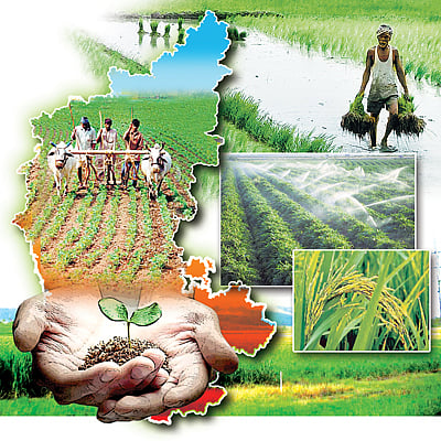 ಹೈಬ್ರಿಡ್ ಕೃಷಿಯಿಂದ ರೈತರ ಸಾಲ ದ್ವಿಗುಣ: ರಾಮಣ್ಣ ಕೆಂಚಳ್ಳೆರ 