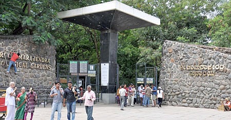 ಮೈಸೂರು ಝೂ: ನ.1ರಂದು 12 ವರ್ಷದೊಳಗಿನ ಮಕ್ಕಳಿಗೆ ಉಚಿತ ಪ್ರವೇಶ 