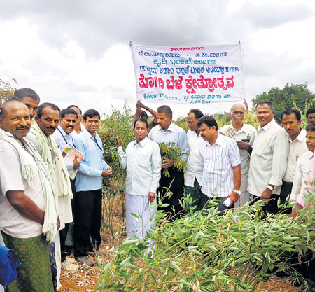ಕಡಿಮೆ ಮಳೆಗೆ  ಈ ತೊಗರಿ