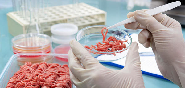 ಬರಲಿದೆ ‘ಟೆಸ್ಟ್‌ಟ್ಯೂಬ್’ ಮಾಂಸ!