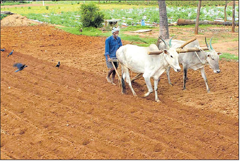 ಬೆಳೆಹಾನಿ: ರೈತರ ಖಾತೆಗೆ ₹1033.60 ಕೋಟಿ ಪರಿಹಾರ; 24 ಗಂಟೆಗಳಲ್ಲಿ ಜಮೆ