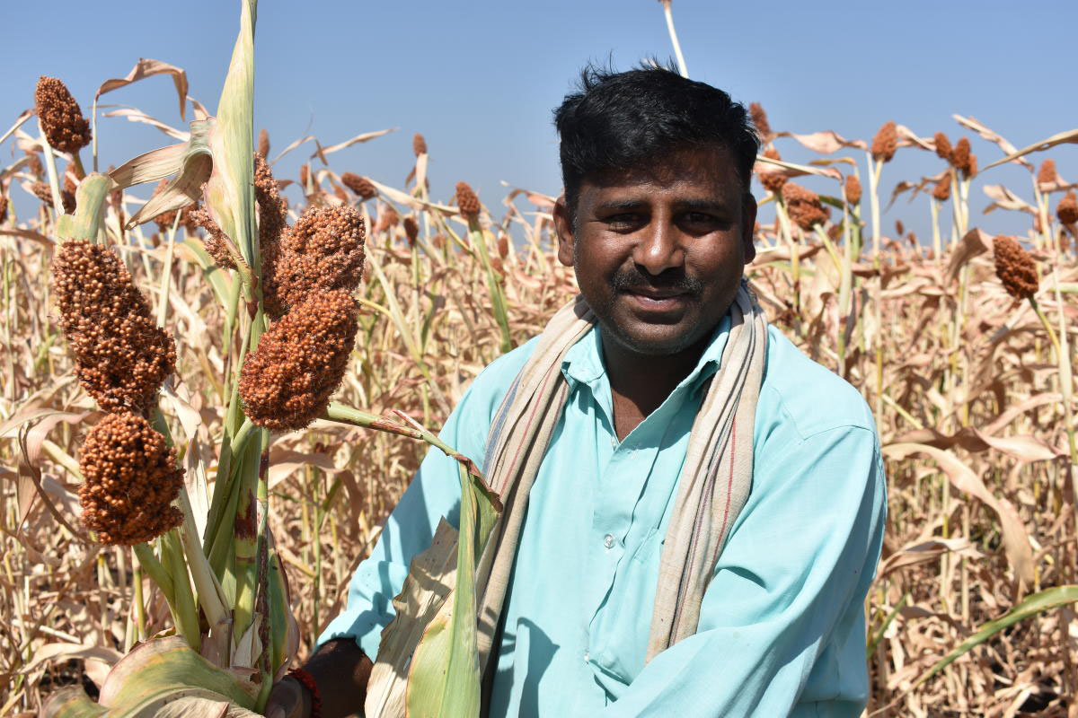 ದೇಸಿ ತಳಿ ಬೀಜಗಳ ರಕ್ಷಕ