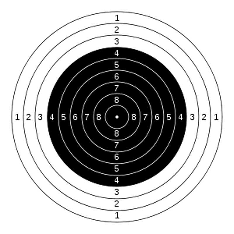 ಪಿಸ್ತೂಲ್‌ ಶೂಟರ್‌ಗಳ ಮೇಲೆ ಗಮನ
