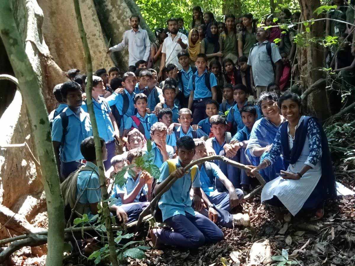 ವಾಮನರು ಕಂಡ ತ್ರಿವಿಕ್ರಮ ಮರ!