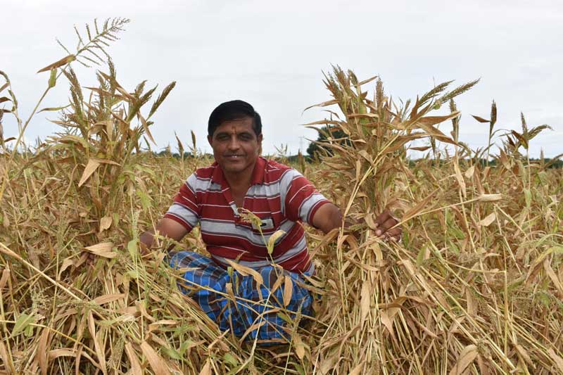 ಕೊರಗದೇ ಬೆಳೆಯಿರಿ ಕೊರಲೆ