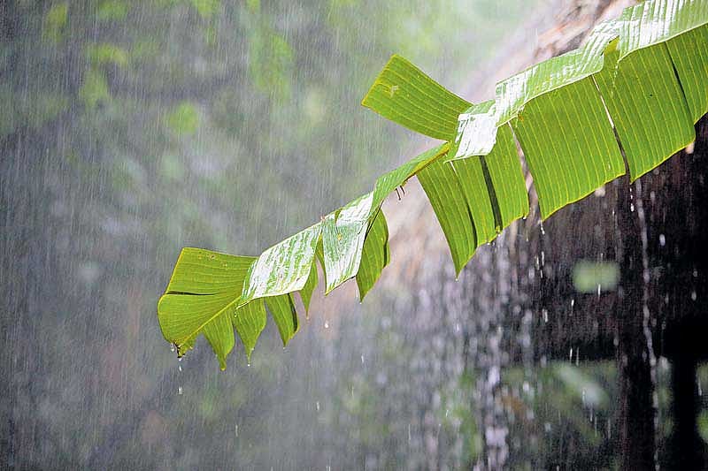 ಬೀದರ್‌: ಜಿಲ್ಲೆಯಾದ್ಯಂತ ತಂಪೆರೆದ ಮಳೆ, ಸಿಡಿಲಿಗೆ ವ್ಯಕ್ತಿ ಸಾವು