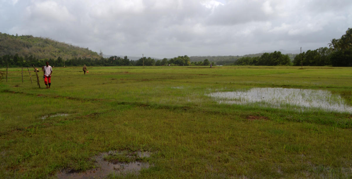 ದ್ವೀಪಕ್ಕೆ ಸಂಪರ್ಕ; ಸರ್ಕಾರಕ್ಕೆ ಪ್ರಸ್ತಾವ