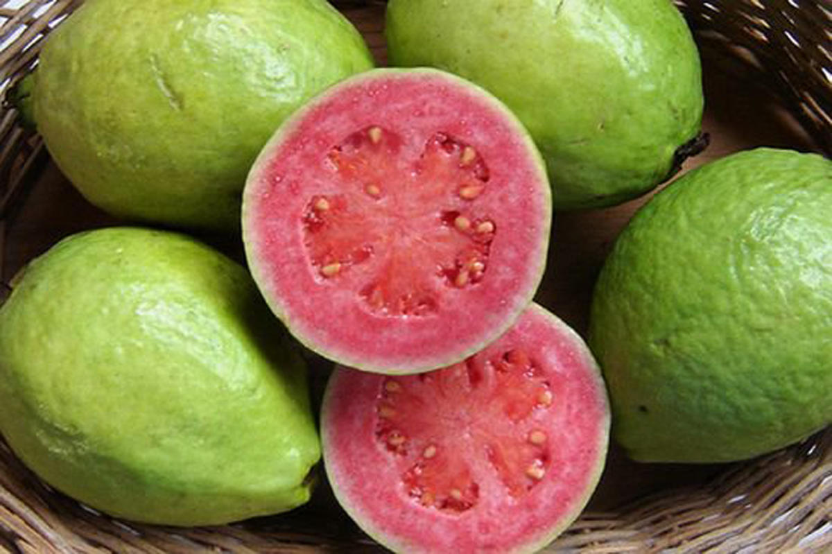 ಪೇರಲೆ ಹಣ್ಣು ಫೇಸ್‌ಪ್ಯಾಕ್‌