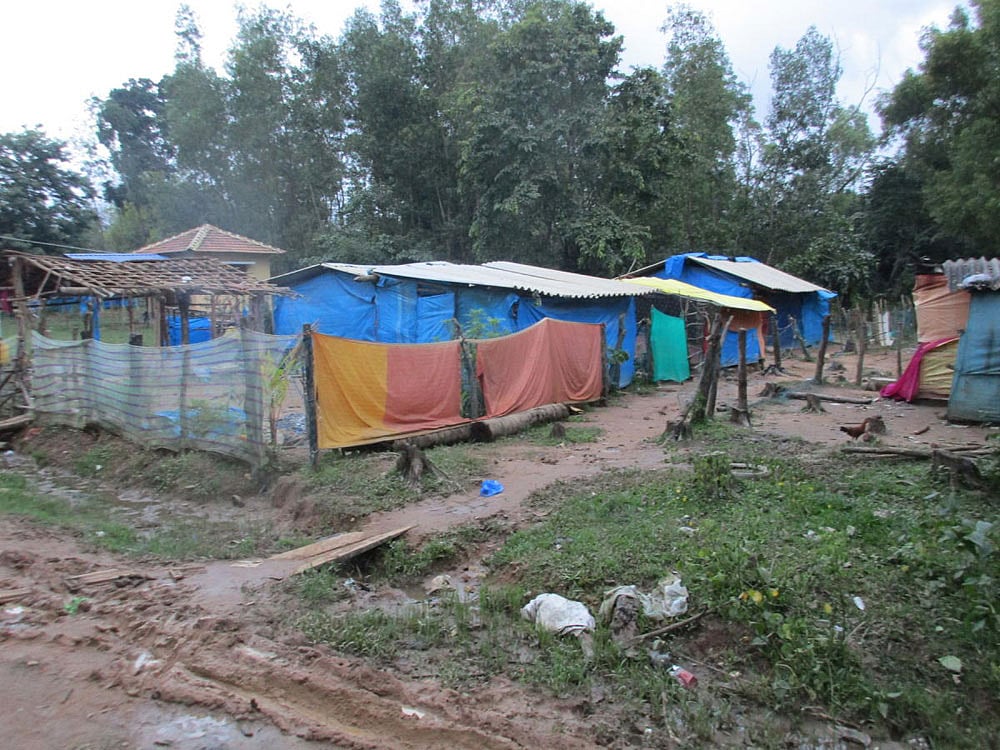 ಅಲೆಮಾರಿಗಳಿಗೆ ಆದ್ಯತೆ ನೀಡಲು ಆಗ್ರಹ