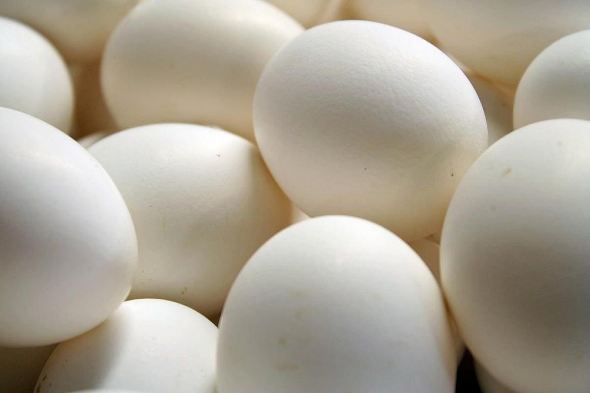 ಮಡಿಕೇರಿ: 27,468 ವಿದ್ಯಾರ್ಥಿಗಳಿಗೆ 6 ದಿನ ಕೋಳಿ ಮೊಟ್ಟೆ