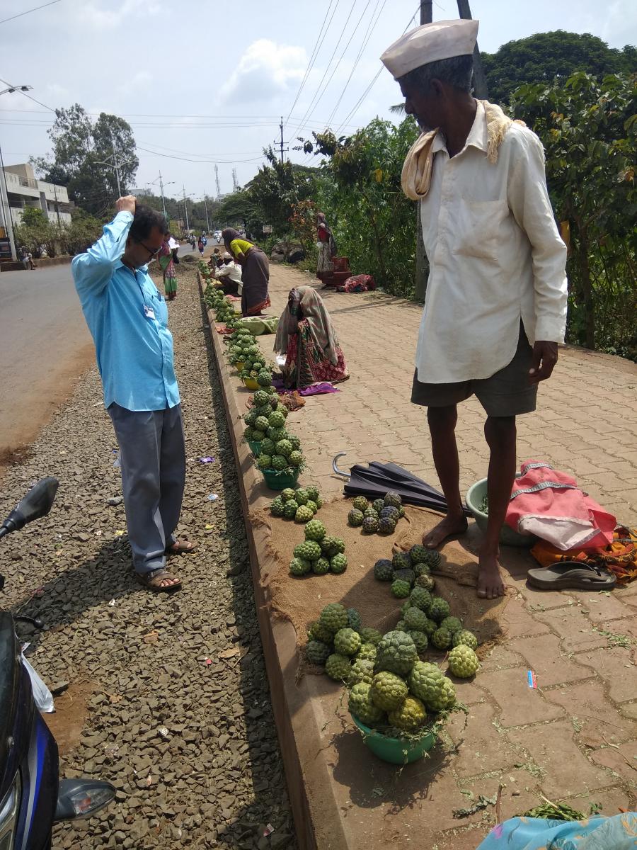 ಬೆಳಗಾವಿ: ಮಾರುಕಟ್ಟೆಯಲ್ಲಿ ‘ಸೀತಾಫಲ’ದ ಸುಗ್ಗಿ; ರೈತರಿಂದಲೇ ಮಾರಾಟ