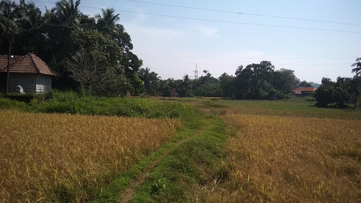 ಇನ್ನೂ ರಸ್ತೆ ಭಾಗ್ಯ ಕಾಣದ ಗುರುಪುರ ಗ್ರಾಮ ಪಂಚಾಯಿತಿ 