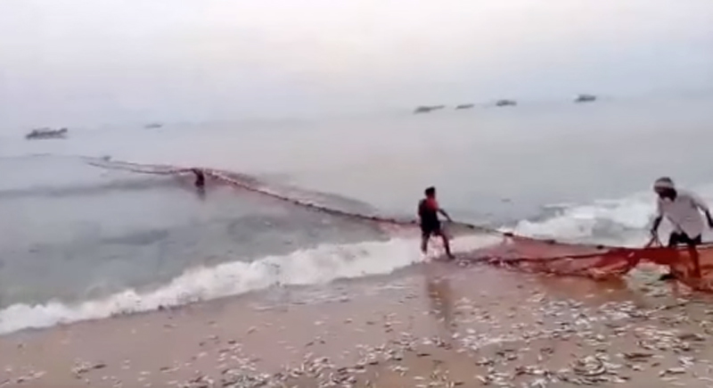 ಕುಂದಾಪುರ ಕಡಲ ತೀರ: ಬಲೆಗೆ ಬಿದ್ದ ರಾಶಿ ರಾಶಿ ಮೀನು