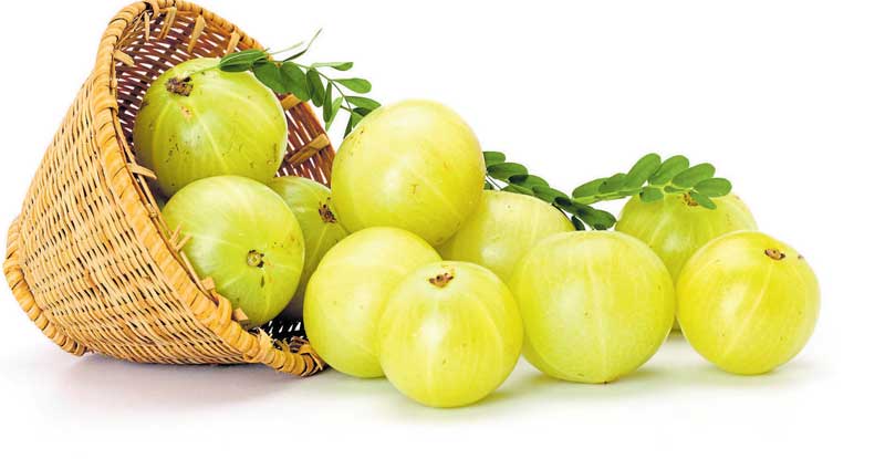 ತುಳಸೀಪೂಜೆಯ ಜೊತೆಗೆ ನೆಲ್ಲಿಯ ಅಡುಗೆ