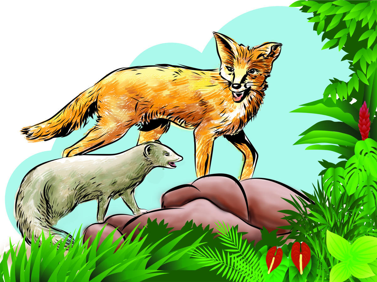 ಸೌಹಾರ್ದ