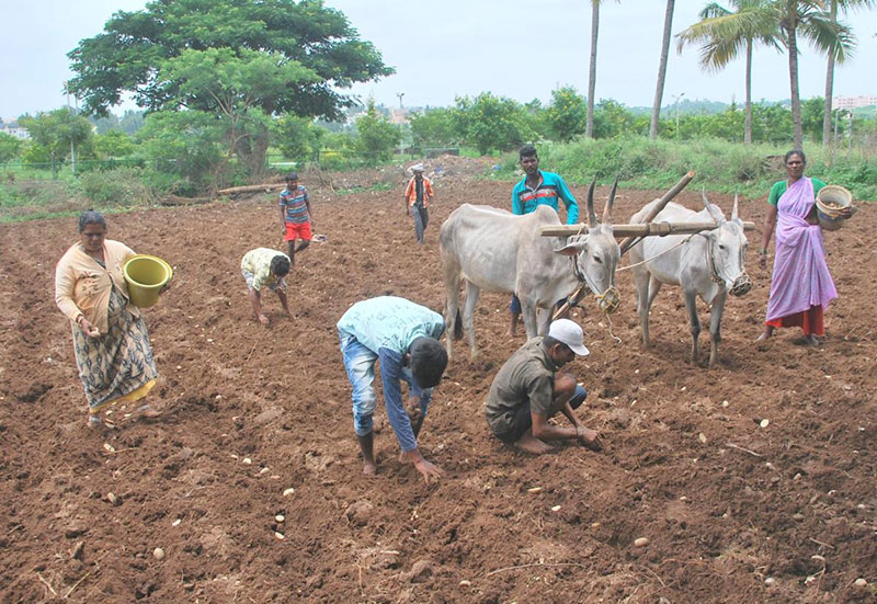 ರೈತರ ಆರ್ಥಿಕ ಸ್ಥಿತಿ ಅರಿಯಲು ಸಮೀಕ್ಷೆ