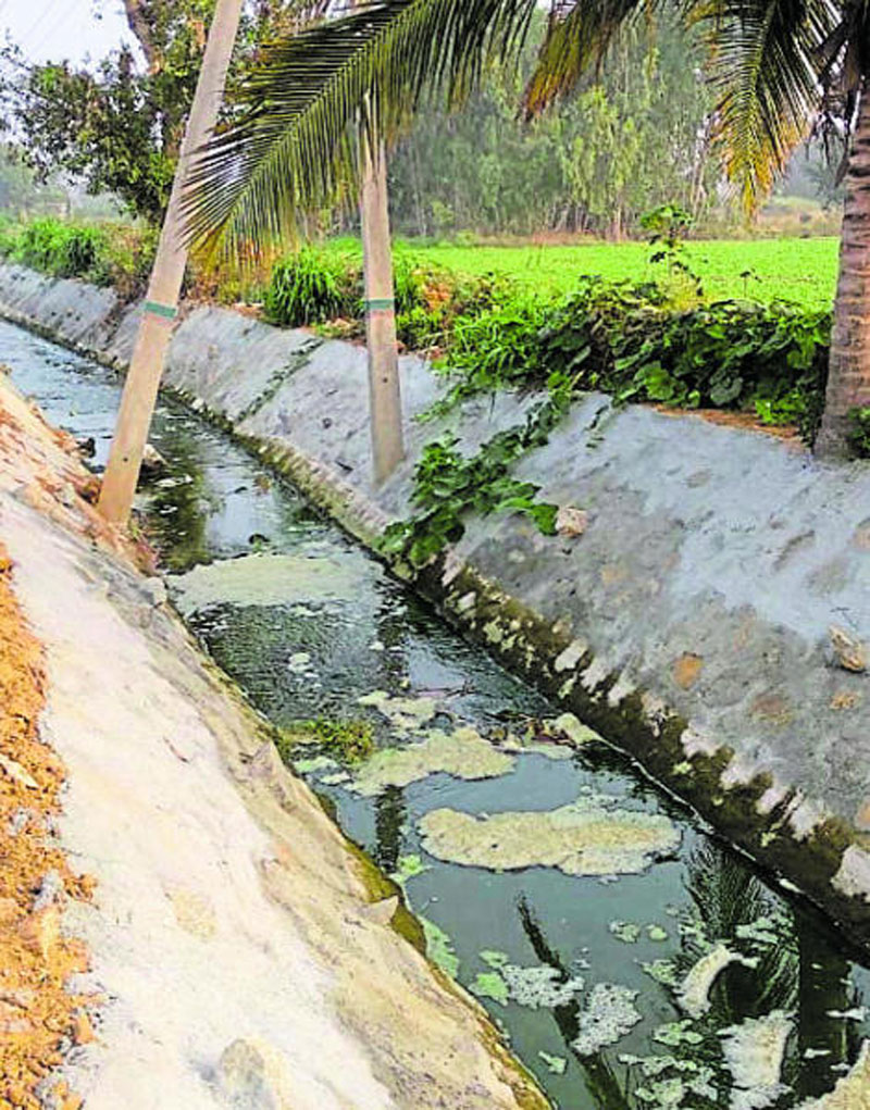 ಕೆ.ಸಿ.ವ್ಯಾಲಿ ಯೋಜನೆ: ನೀರಿನ ಬದಲು ಹರಿದ ವಿಷ